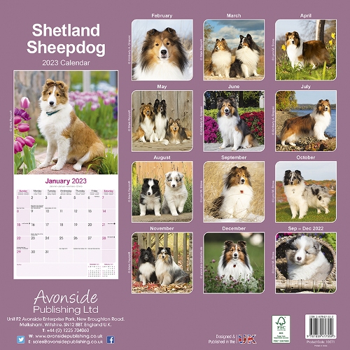 Shetland Sheepdog Calendar 2023 (Square) Dogs Naturally